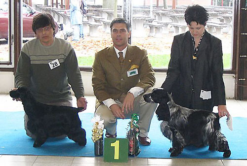 Sabina z Vejminku  - Club Winner Show Ceske Budejovice -  30.10.2004. Another great day for my small kennel !!! at the age only of 14 th months received CAJC, Club Junior Winner, B.O.B. under Mr Dr Tamas Jakkel.