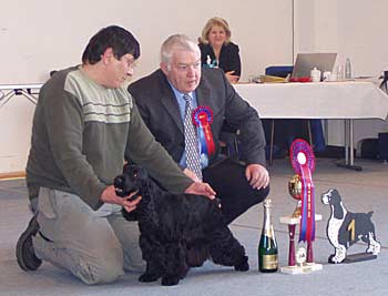 6.3.2005 SOEST SPEC. SHOW (Cocker Club Deutschland). Another great day for my small kennel. Sabina z Vejminku won CAC, BEST BITCH, BEST OF BREED, BEST IN SHOW under famous UK judge Mr Moray Armstrong (Bitcon). 